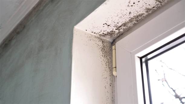 Water Damage Restoration in Crestline, OH