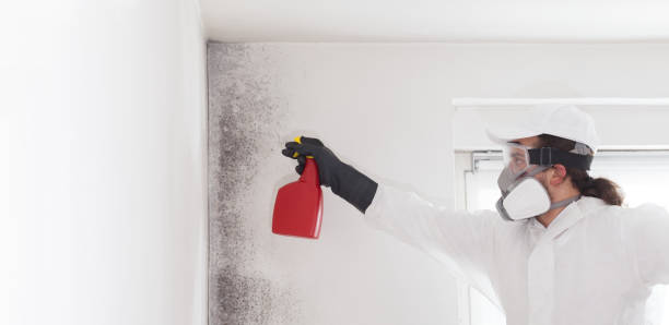 Best Professional Mold Removal  in Crestline, OH